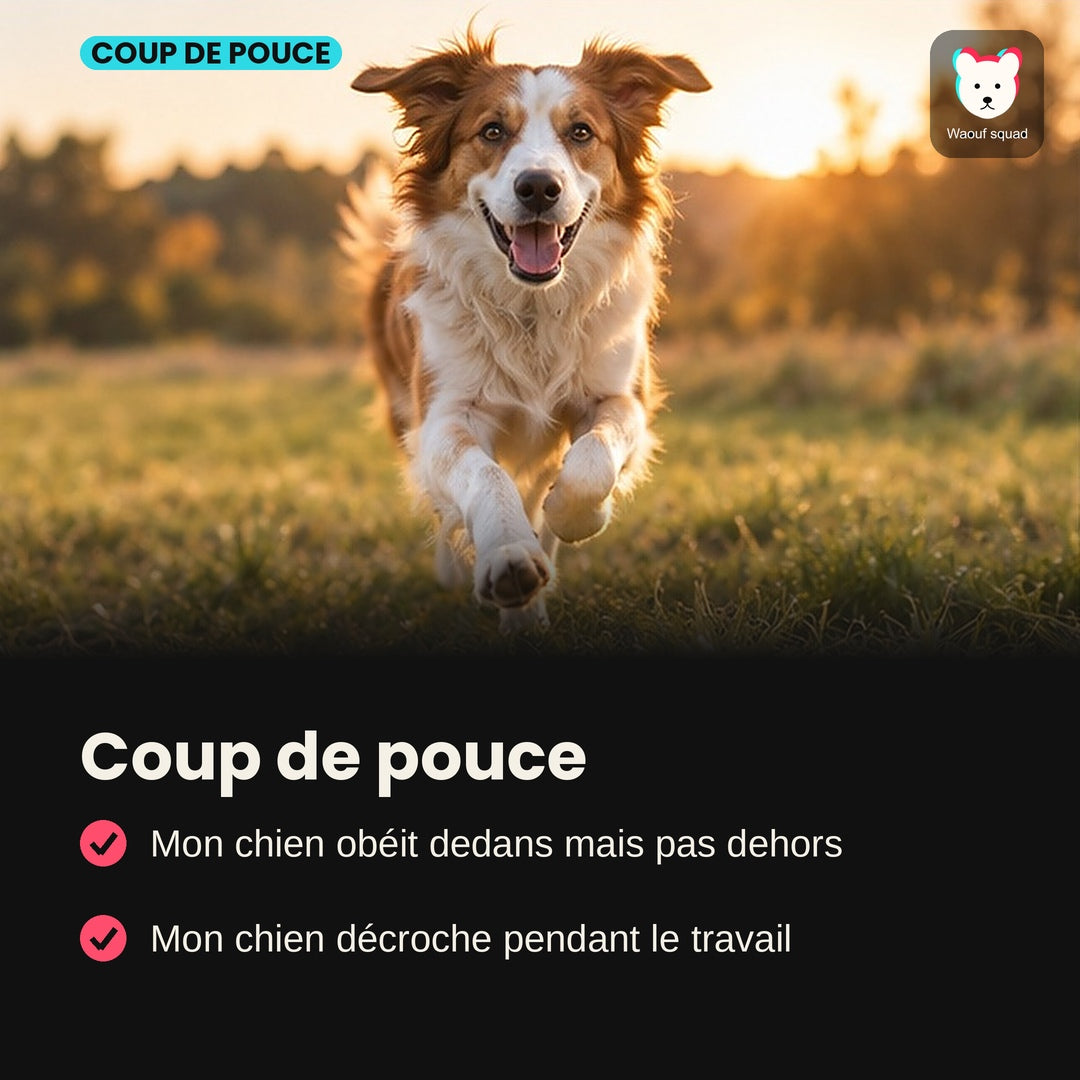 Coup de pouce : les vidéos pour les situations difficiles