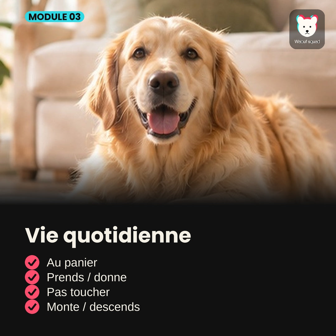 Module 3 : Vie quotidienne
